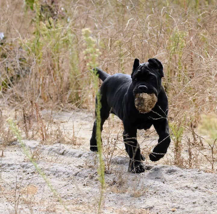 226b9cc4 e8f4 4d1d 8a44 b6f550e71924