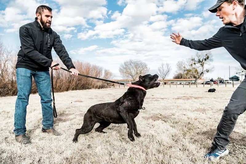 309190f8 1756 4efb 8525 c96d79c618ee