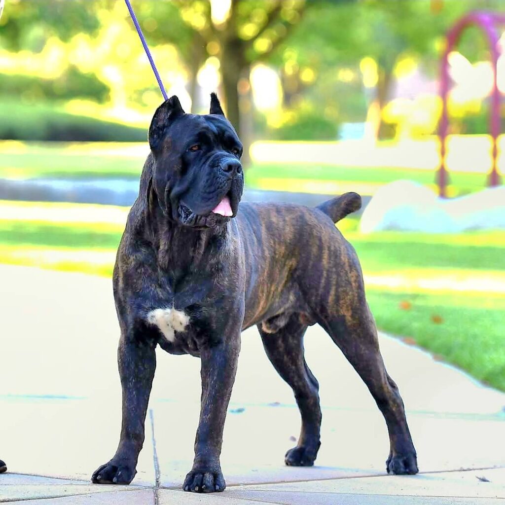 5585cb4c 147b 4767 81bd 2831a00106ee