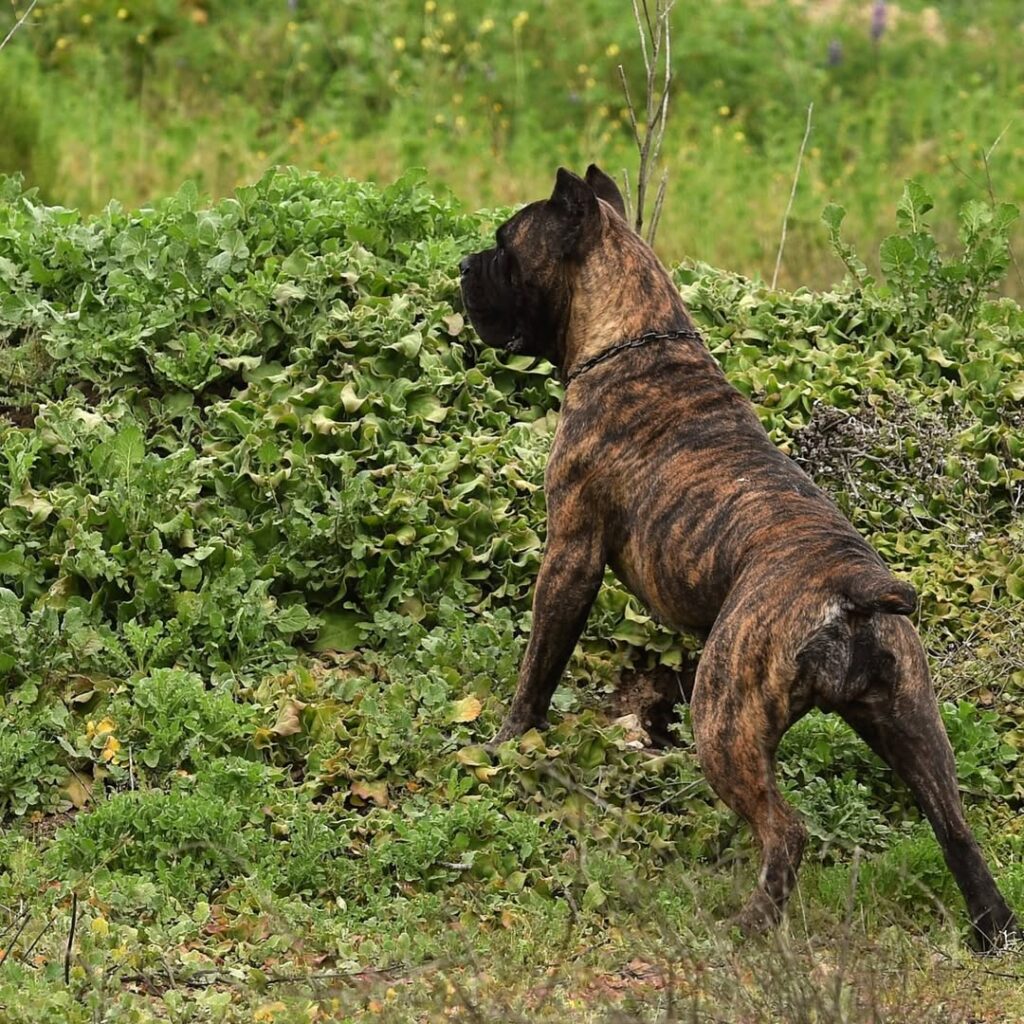 a526153a 4991 4e11 aedd 92b0b8f49fb6