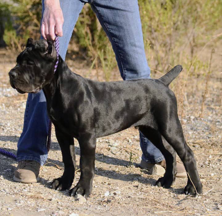 b57b6a0b c089 41e4 b044 c03776c50a2c