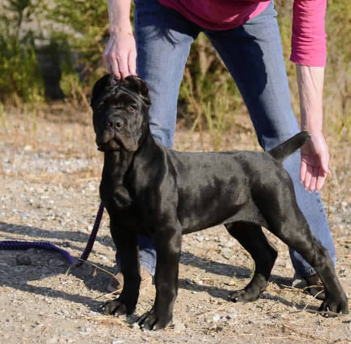 e11c6fd5 5437 42d0 afeb 946856a9b573