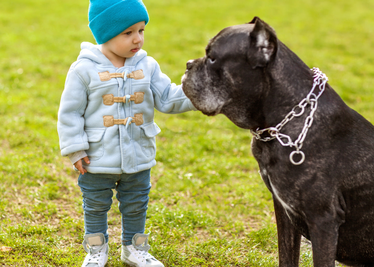 shutterstock 418404283 1