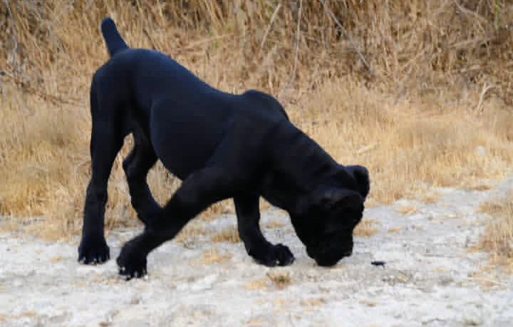 screenshot 20251226 025647~3