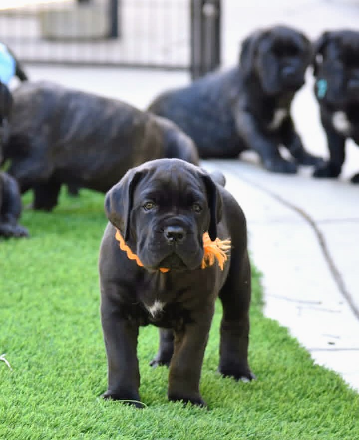 screenshot 20251226 041153~2